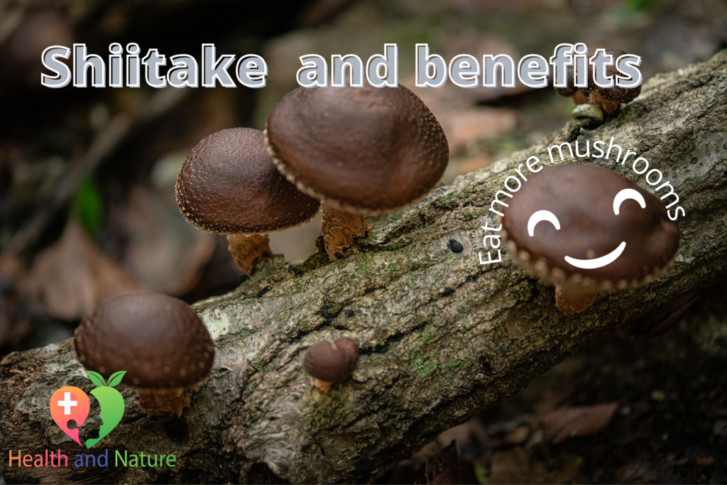 Shiitake mushrooms 