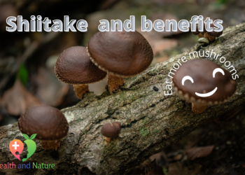 Shiitake mushrooms