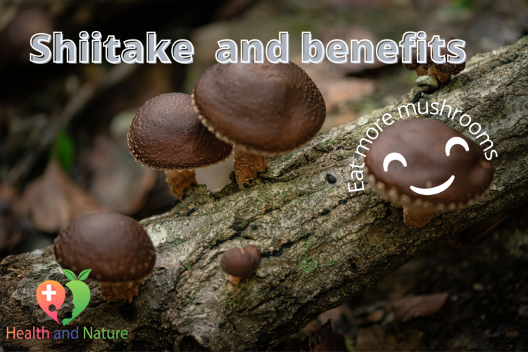 Shiitake mushrooms