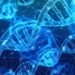 Genetic, testing, interesting fact about IQ