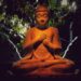8 Best Teachings Of Buddhism For Success