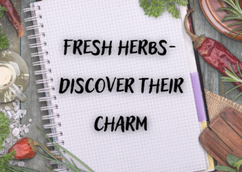 Fresh herbs – How to grow them and what are their benefits?