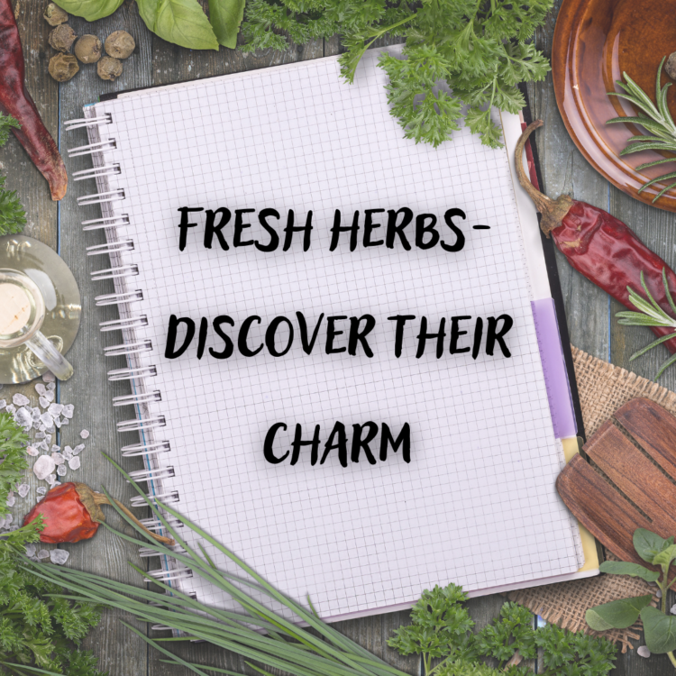 Fresh herbs – How to grow them and what are their benefits?