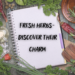Fresh herbs – How to grow them and what are their benefits?