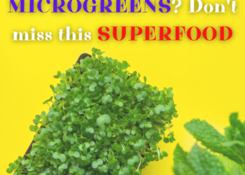 What are microgreens? Discover its effects and ways of growing in the apartment!