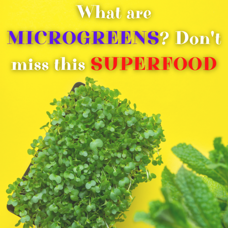 What are microgreens? Discover its effects and ways of growing in the apartment!