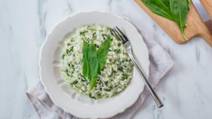 Bear garlic risotto