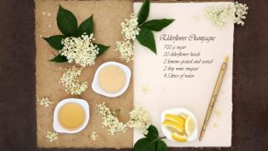 Spring herbs - Elderflower wine recipe