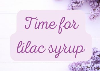 Time for lilac syrup