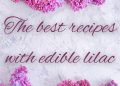 Lilac recipes