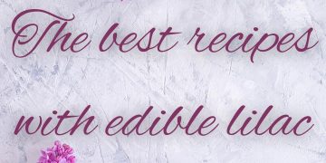 Lilac recipes