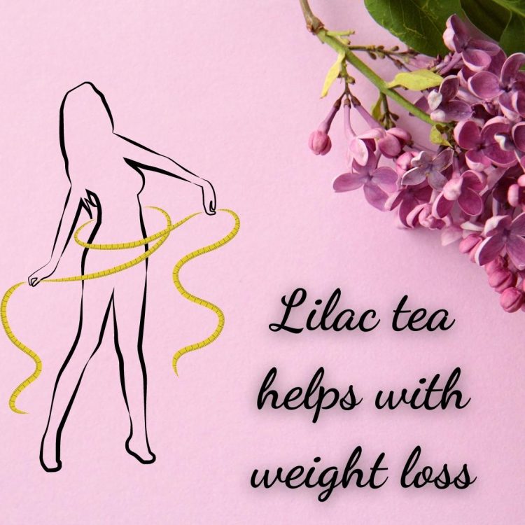 Lilac tea