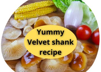 Velvet Shank Enoki Pita Bread Recipe