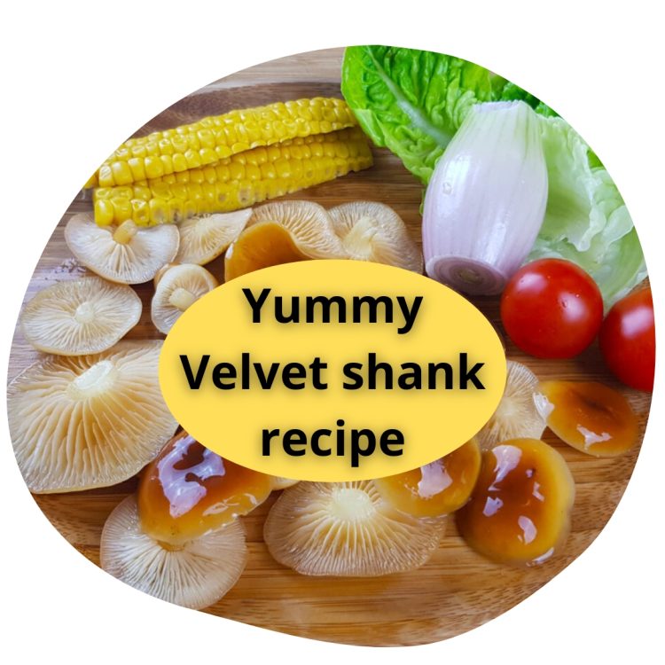 Velvet Shank Enoki Pita Bread Recipe