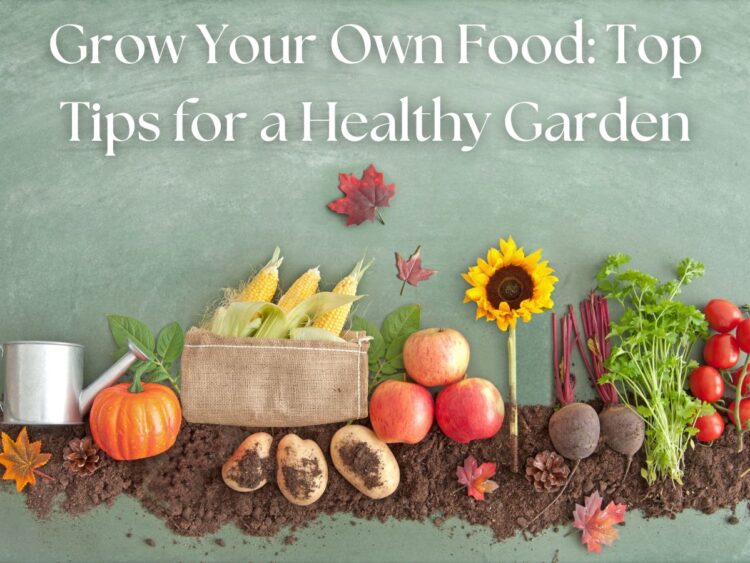 Fresh produce from a healthy garden, including apples, corn, tomatoes, and more, arranged on soil.
