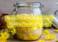 Homemade Mullein Syrup: Natural Respiratory Relief