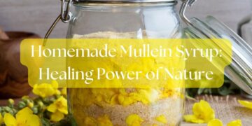 Homemade Mullein Syrup: Natural Respiratory Relief