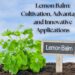 Lemon balm plant growing in soil with a small chalkboard sign labeled "Lemon Balm" against a blue sky.