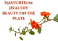 Nasturtium