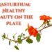 Nasturtium
