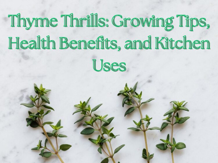 Thyme sprigs on a marble surface with text overlay: 'Thyme Thrills: Growing Tips, Health Benefits, and Kitchen Uses.