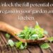 A wooden spoon filled with fresh oregano leaves on a rustic wooden table, emphasizing the potential of growing oregano in your garden and kitchen.
