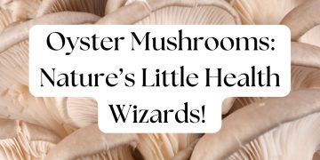 Close-up of fresh oyster mushrooms showcasing their delicate gills and creamy texture.