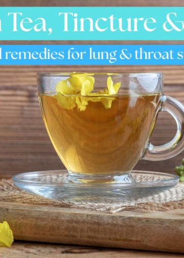 Clear glass cup of mullein tea with yellow mullein flowers on a wooden background – natural herbal remedy for lungs and throat