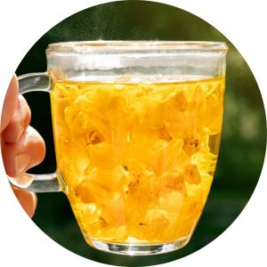 Hand holding a glass cup of mullein tea with floating yellow mullein flowers, backlit by sunlight