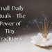 Incense sticks burning in a lotus holder, symbolizing calming daily rituals and tiny traditions.